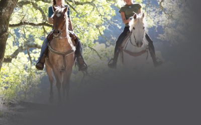 3 Local Escapes for Willamette Valley Equestrians