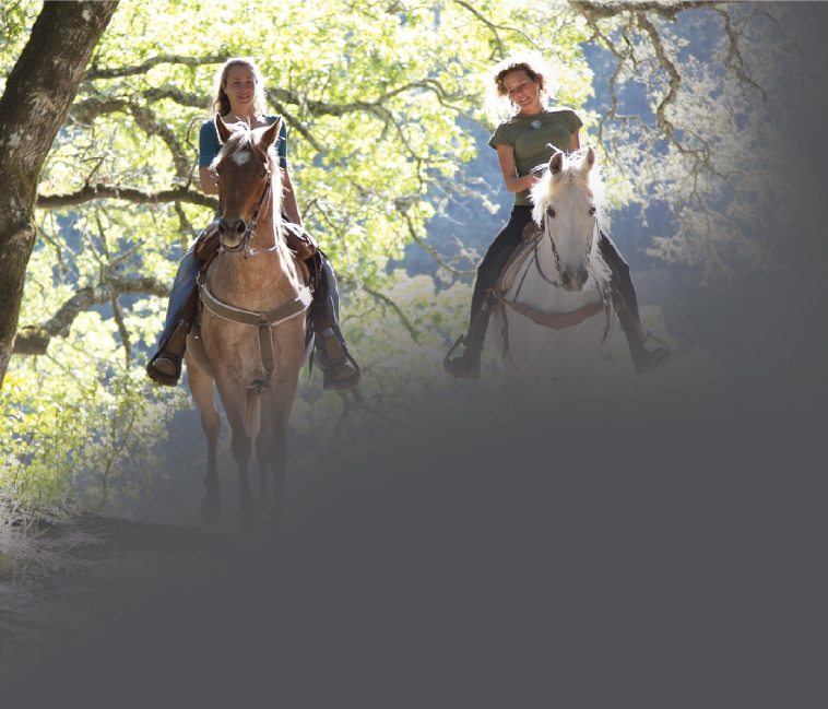 3 Local Escapes for Willamette Valley Equestrians