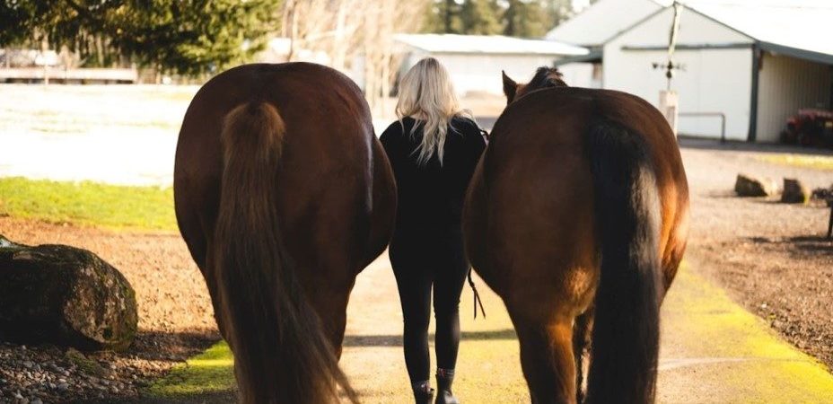 Seeking Realtors with Equestrian Background