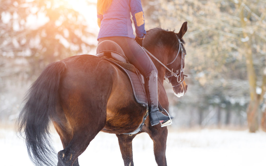 Horse Properties and Small Acreages Remain in High Demand