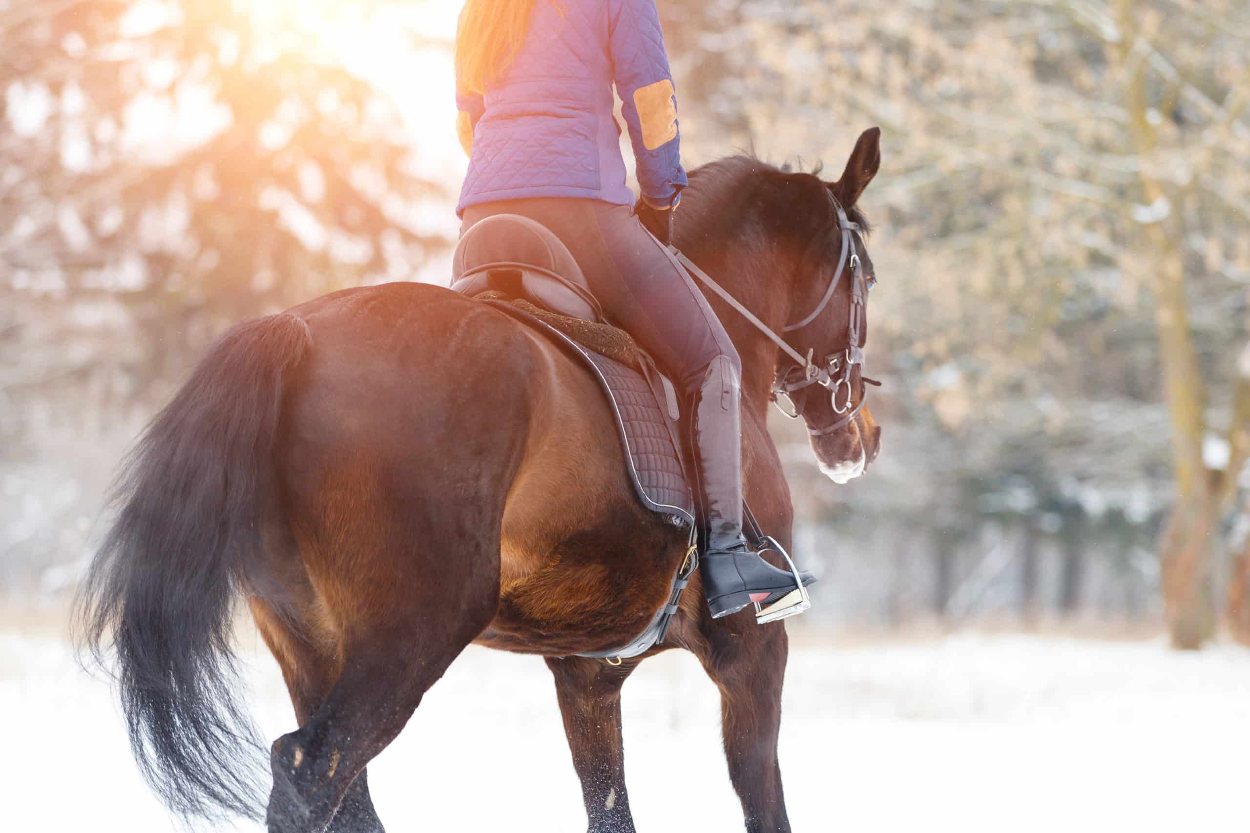 Horse Property Wanted
