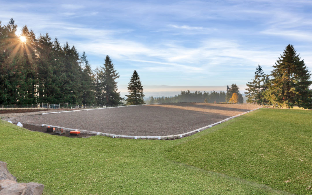 Thinking of Installing an Arena?