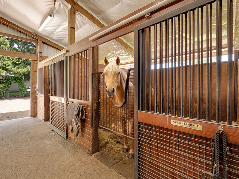 Pacific Northwest Equestrian Outlook