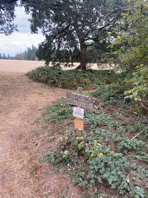 Parks & Rec Candidates To Attend Trails Work Party