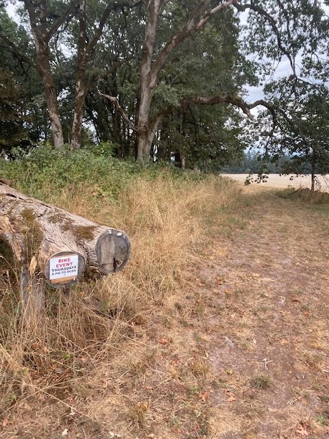 Crystal Rilee Equestrian Park Update