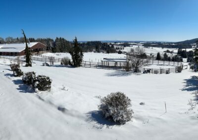 Country landscape blanketed in snow.