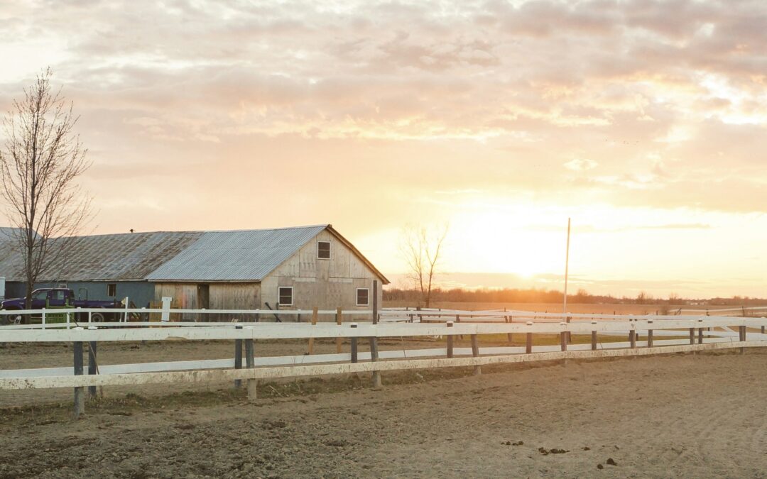 Living the Dream: Finding the Perfect Equestrian Estate