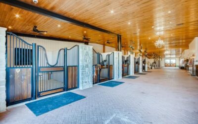 Unveiling the Hidden Charms of Equestrian Estates