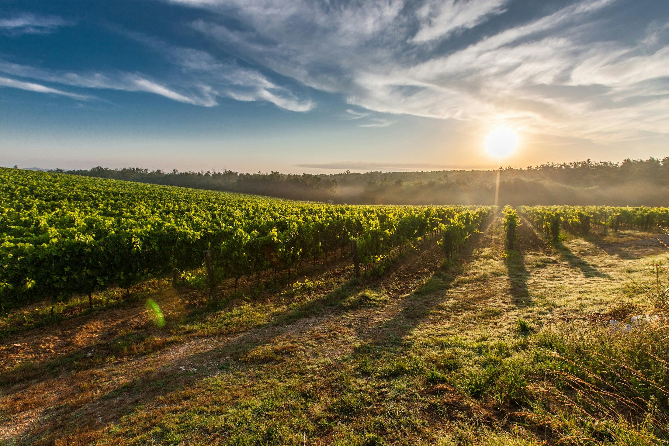 Unleashing the Potential of Multi-Use Acreage Properties