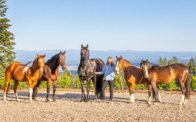 Work with an Equestrian & Acreage Specialist – Why It Matters