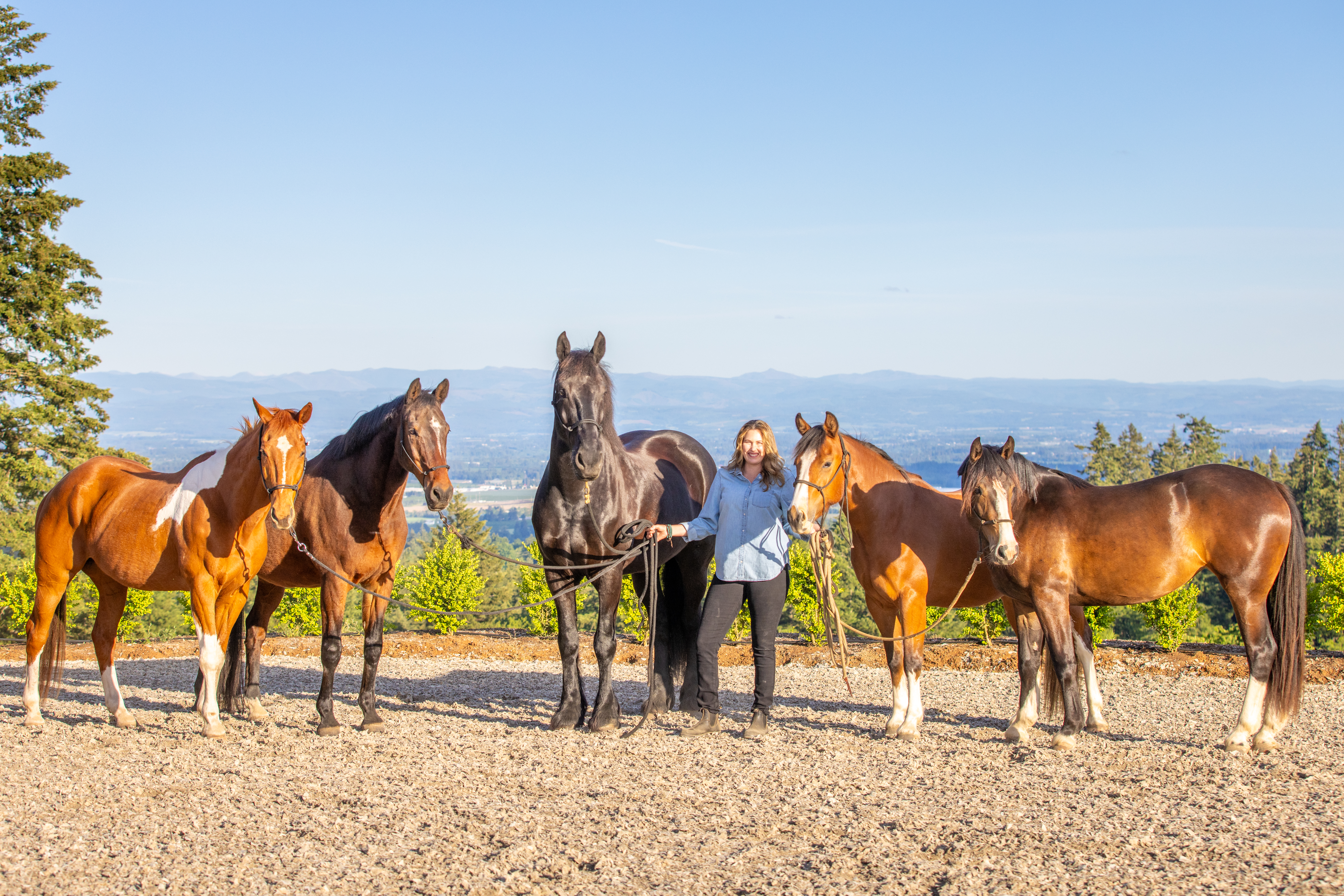 Work with an Equestrian & Acreage Specialist – Why It Matters