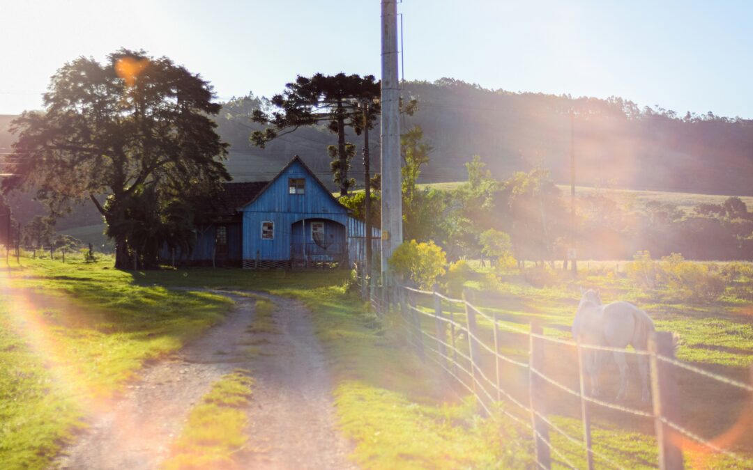 Finding the Perfect Equestrian Property in Oregon and Washington