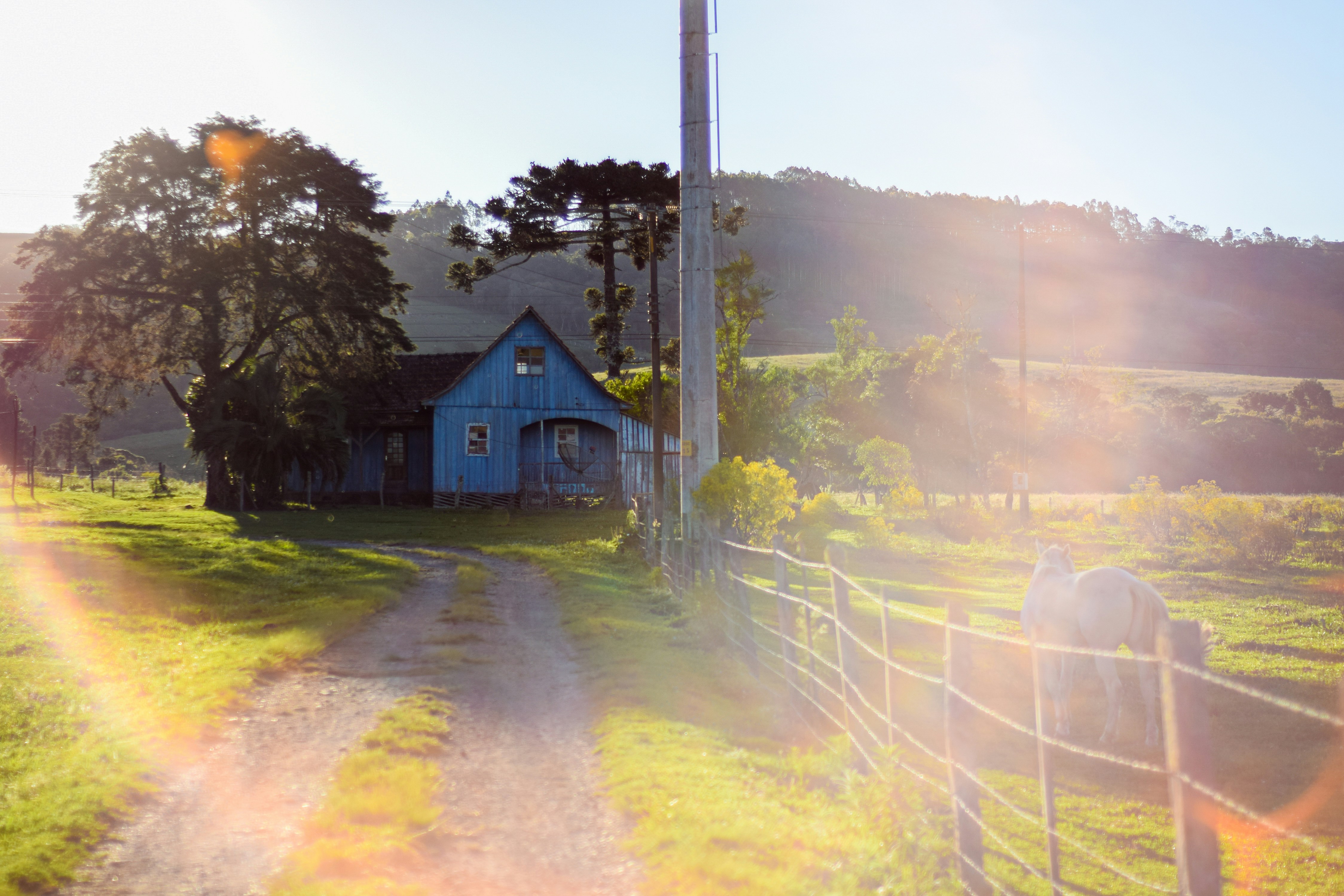 Finding the Perfect Equestrian Property in Oregon and Washington