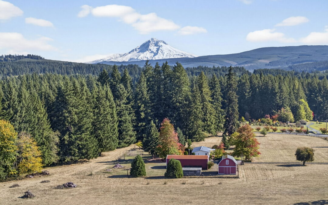 Why Buyers Are Flocking to Oregon and SW Washington for Acreage and Equestrian Living