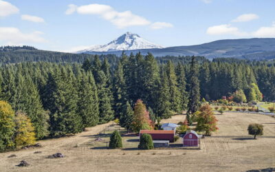 Why Buyers Are Flocking to Oregon and SW Washington for Acreage and Equestrian Living