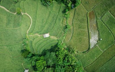 The Hidden Costs of Owning Acreage in Oregon and SW Washington