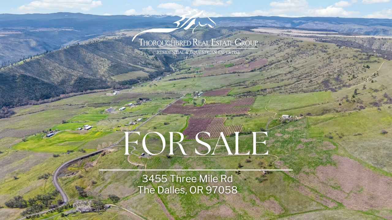 3 Ways to Own Threemile Vineyard in The Dalles, Oregon