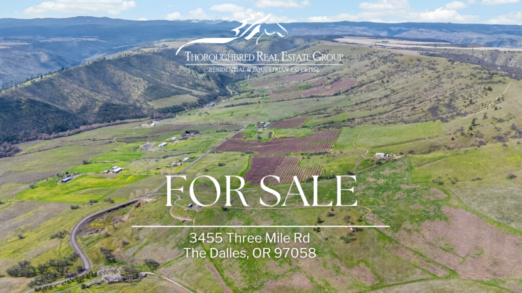 Threemile Vineyard The Dalles Oregon aerial view